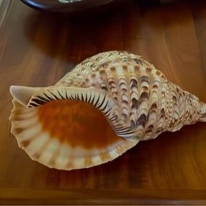 Listing for Angela only